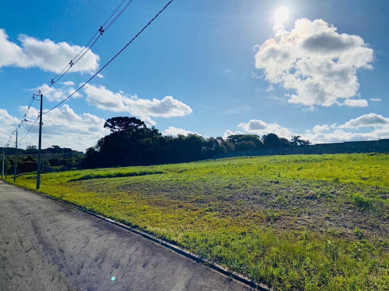 CAMPO BELO